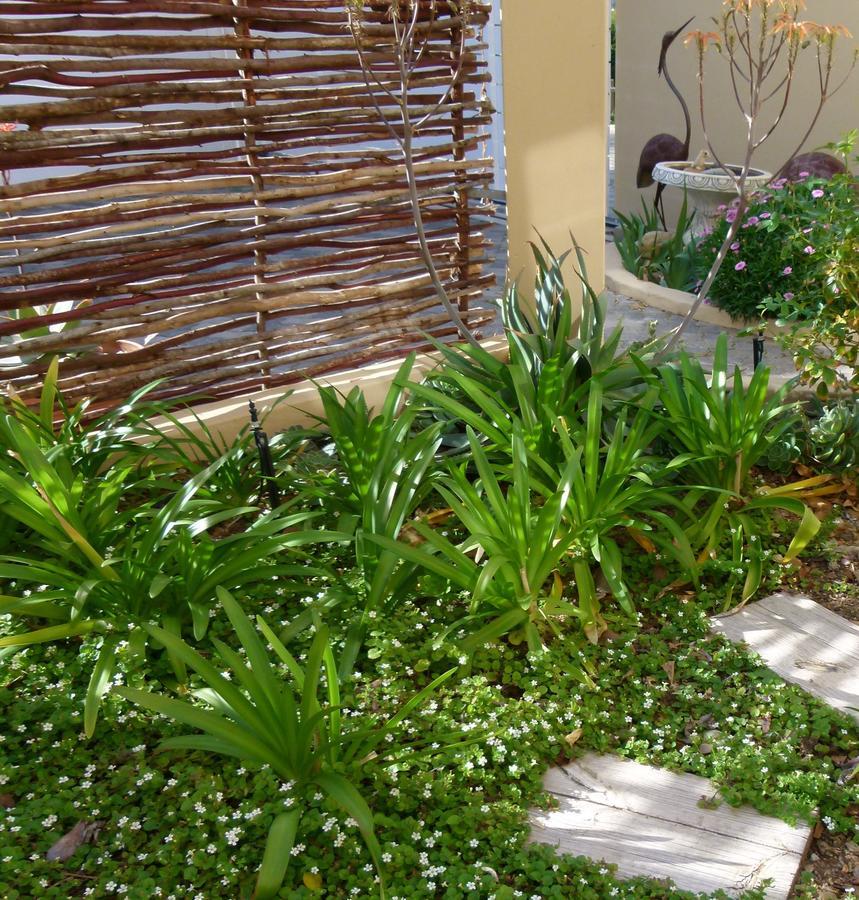 Anchorage Inn Guesthouse Montagu Ngoại thất bức ảnh
